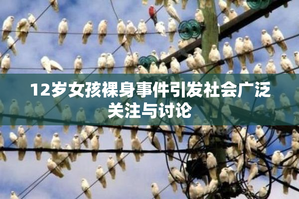 12岁女孩裸身事件引发社会广泛关注与讨论