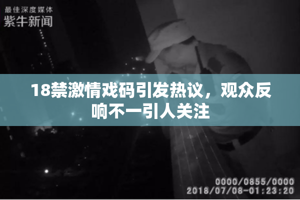 18禁激情戏码引发热议，观众反响不一引人关注