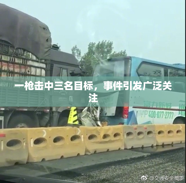 一枪击中三名目标，事件引发广泛关注