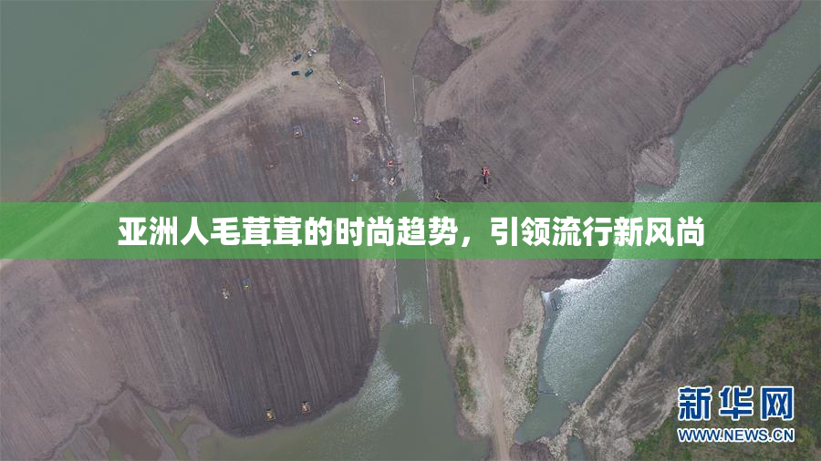 亚洲人毛茸茸的时尚趋势，引领流行新风尚