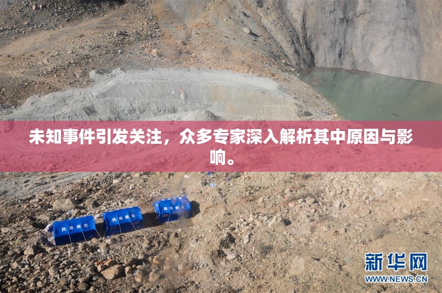 未知事件引发关注，众多专家深入解析其中原因与影响。