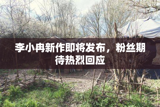 李小冉新作即将发布，粉丝期待热烈回应
