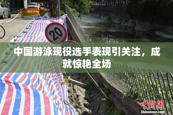 中国游泳现役选手表现引关注，成就惊艳全场