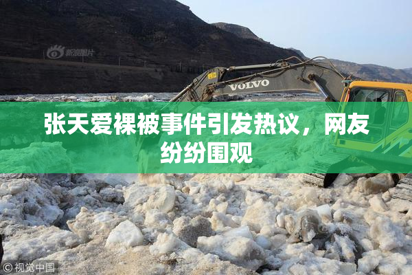张天爱裸被事件引发热议，网友纷纷围观