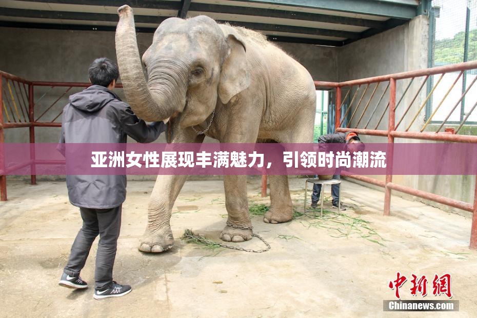 亚洲女性展现丰满魅力，引领时尚潮流