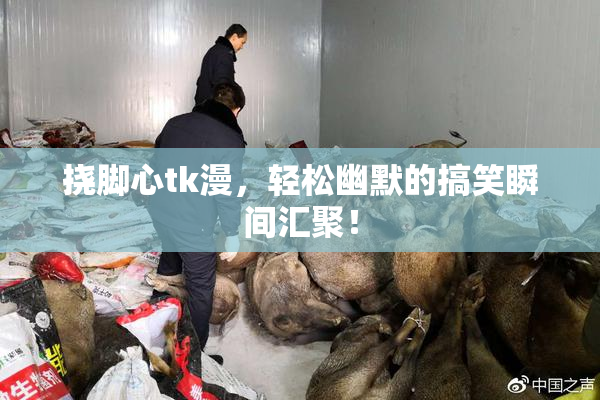 挠脚心tk漫，轻松幽默的搞笑瞬间汇聚！