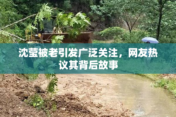 沈莹被老引发广泛关注，网友热议其背后故事