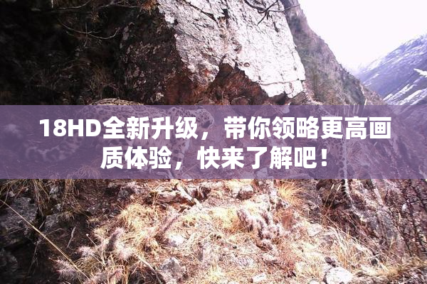 18HD全新升级，带你领略更高画质体验，快来了解吧！