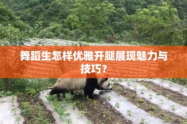 舞蹈生怎样优雅开腿展现魅力与技巧？