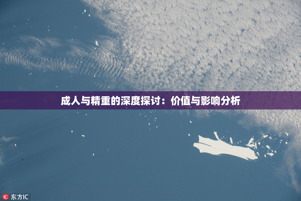 成人与精重的深度探讨：价值与影响分析