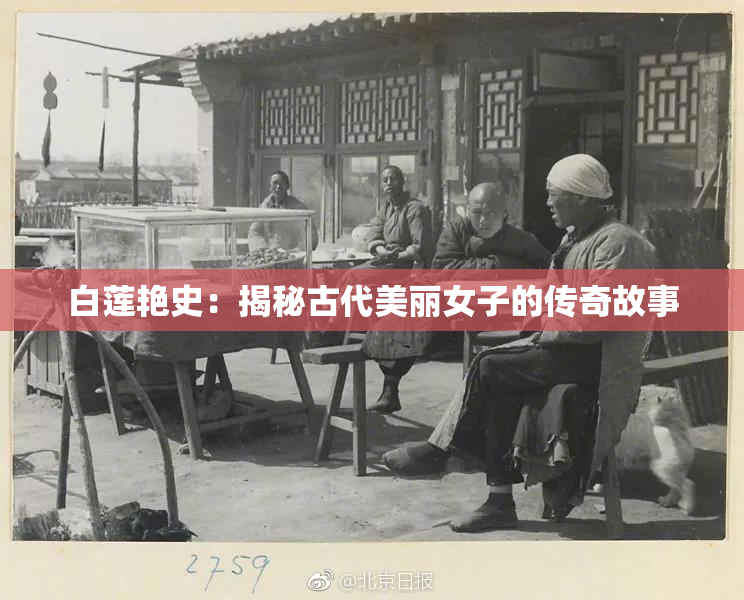 白莲艳史：揭秘古代美丽女子的传奇故事