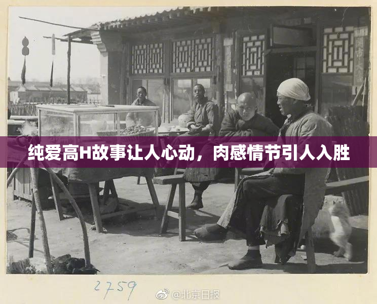 纯爱高H故事让人心动，肉感情节引人入胜