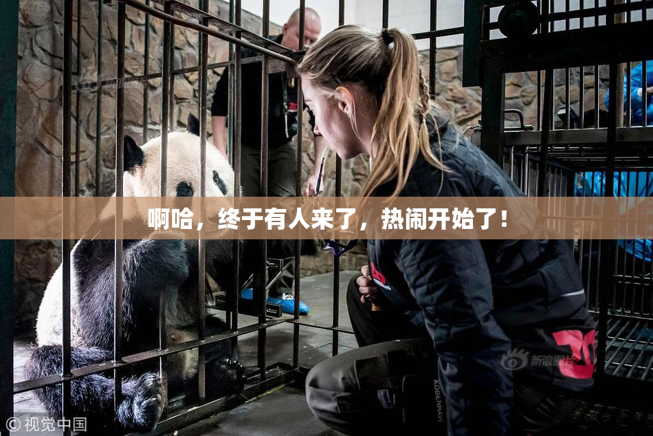 啊哈，终于有人来了，热闹开始了！