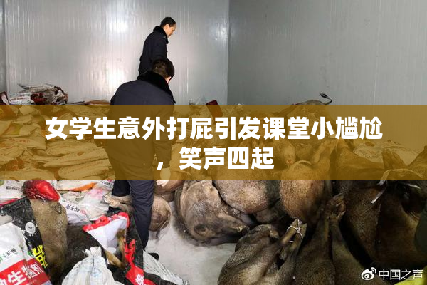 女学生意外打屁引发课堂小尴尬，笑声四起