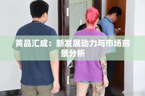 黄品汇成：新发展动力与市场前景分析