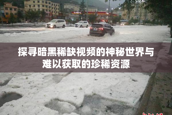 探寻暗黑稀缺视频的神秘世界与难以获取的珍稀资源