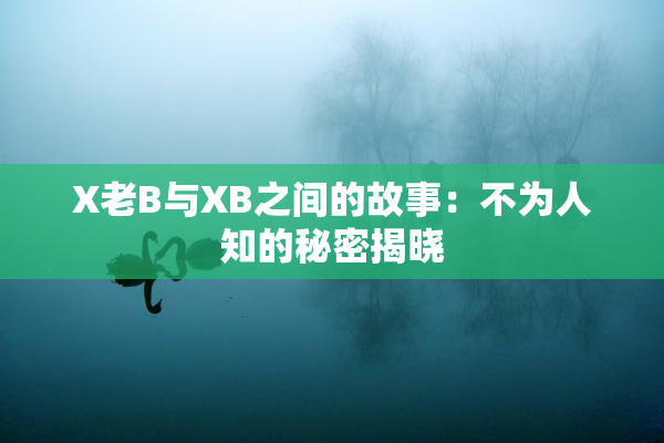 X老B与XB之间的故事：不为人知的秘密揭晓