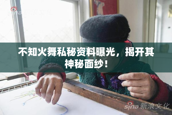 不知火舞私秘资料曝光，揭开其神秘面纱！