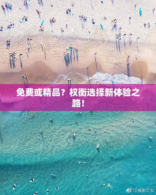 免费或精品？权衡选择新体验之路！
