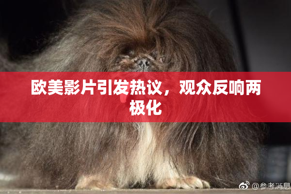 欧美影片引发热议，观众反响两极化