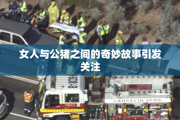 女人与公猪之间的奇妙故事引发关注