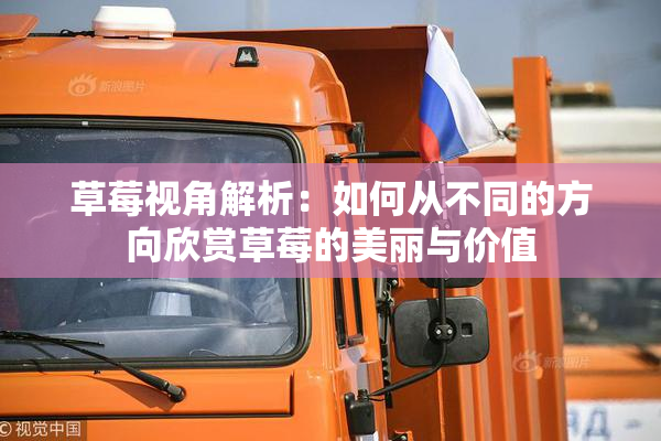 草莓视角解析：如何从不同的方向欣赏草莓的美丽与价值