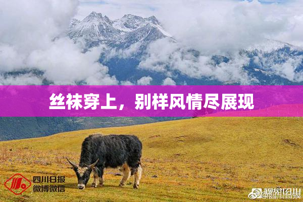 丝袜穿上，别样风情尽展现