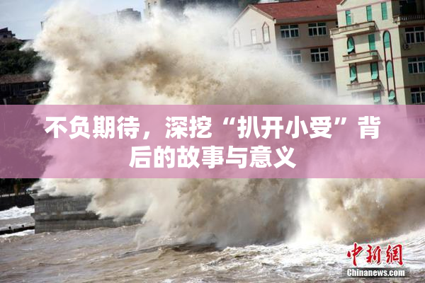 不负期待，深挖“扒开小受”背后的故事与意义