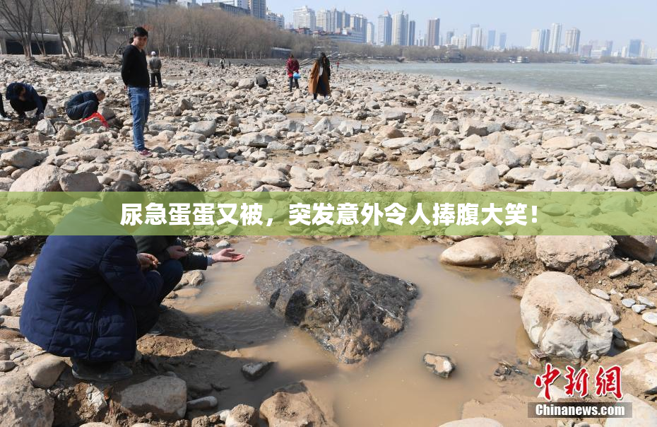 尿急蛋蛋又被，突发意外令人捧腹大笑！
