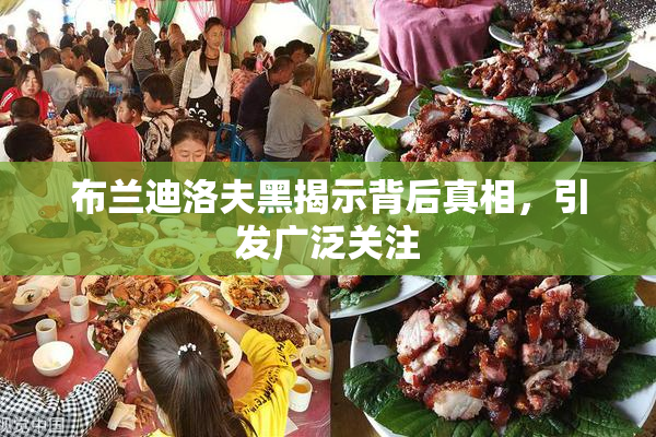 布兰迪洛夫黑揭示背后真相，引发广泛关注