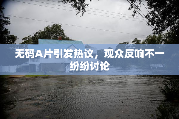 无码A片引发热议，观众反响不一纷纷讨论