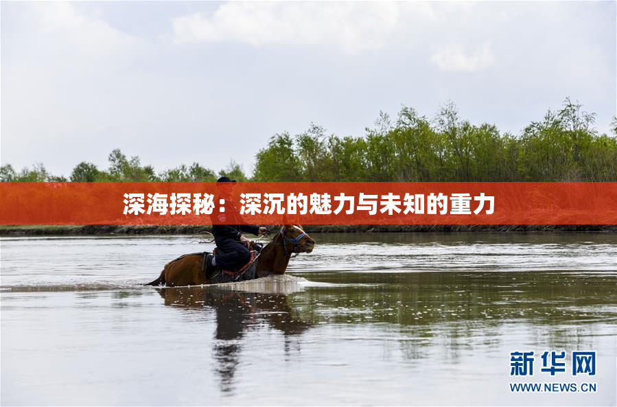 深海探秘：深沉的魅力与未知的重力