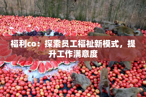 福利co：探索员工福祉新模式，提升工作满意度