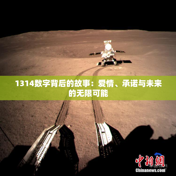 1314数字背后的故事：爱情、承诺与未来的无限可能