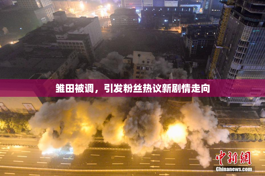 雏田被调，引发粉丝热议新剧情走向