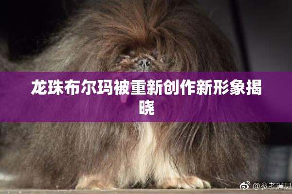 龙珠布尔玛被重新创作新形象揭晓
