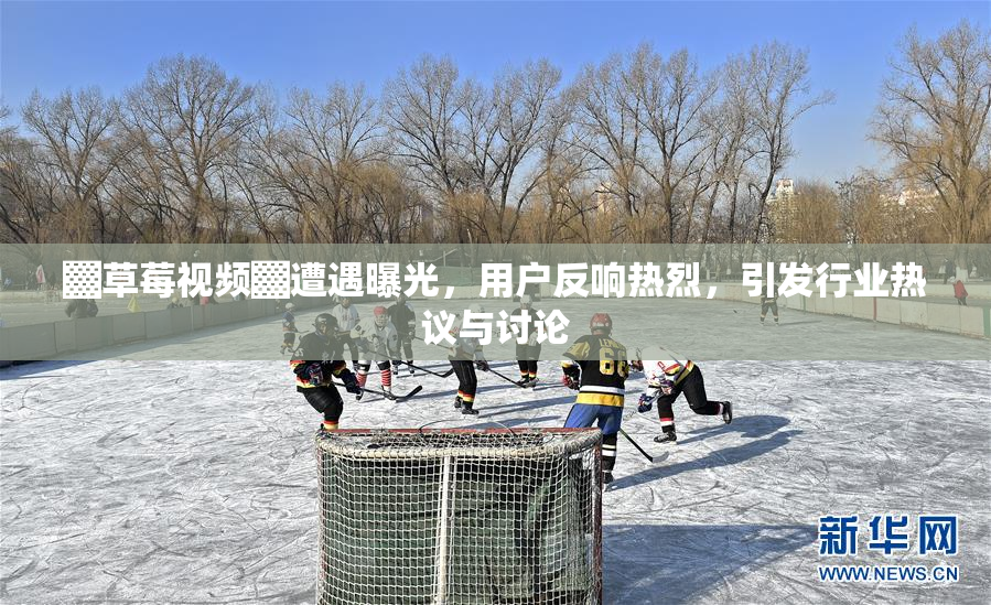 ▓草莓视频▓遭遇曝光，用户反响热烈，引发行业热议与讨论
