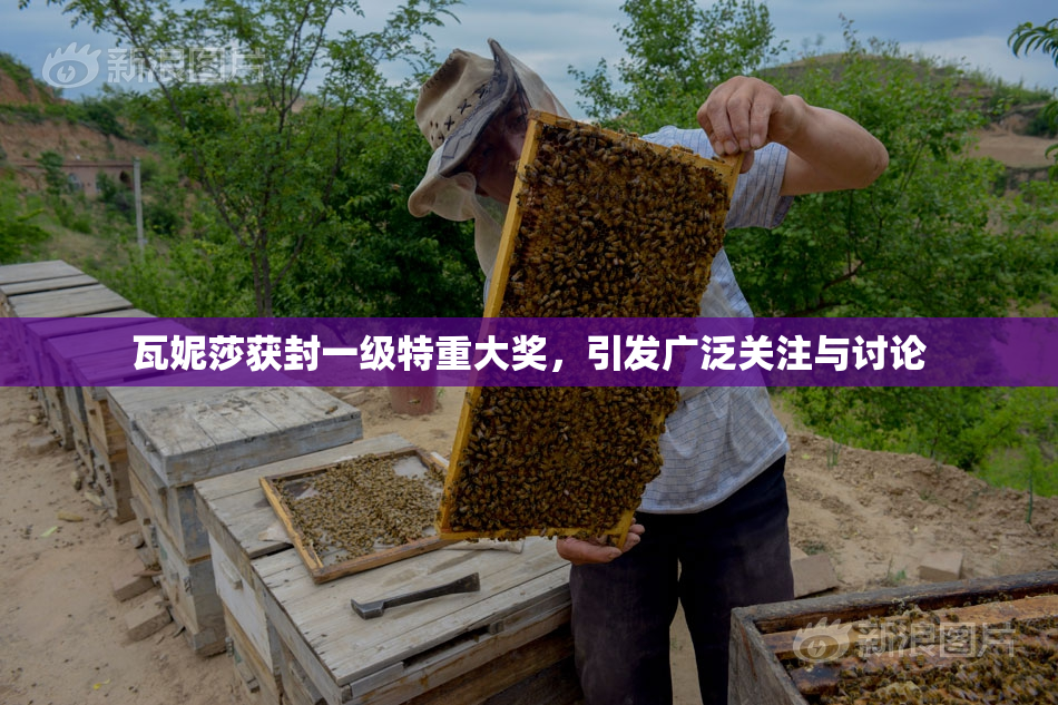 瓦妮莎获封一级特重大奖，引发广泛关注与讨论