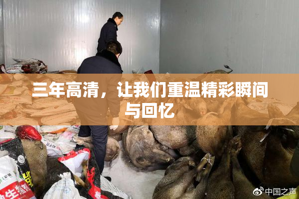 三年高清，让我们重温精彩瞬间与回忆