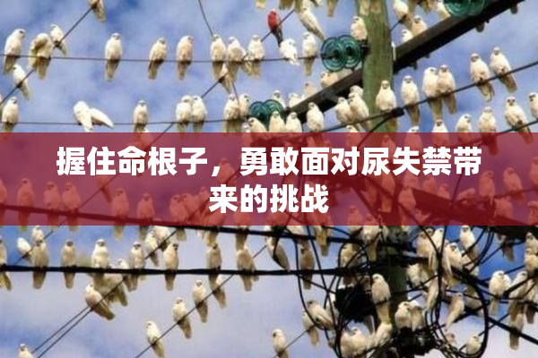 握住命根子，勇敢面对尿失禁带来的挑战