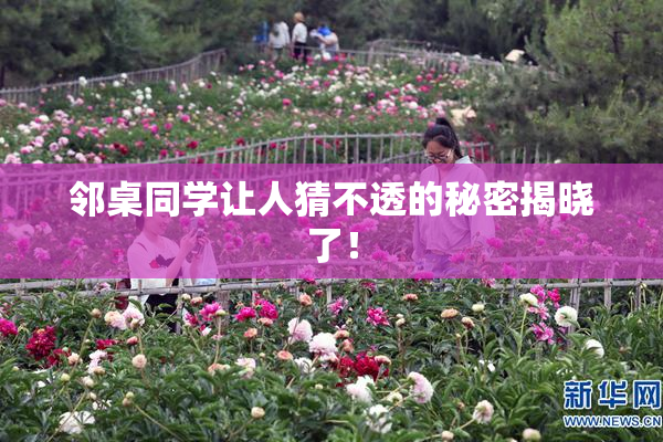 邻桌同学让人猜不透的秘密揭晓了！