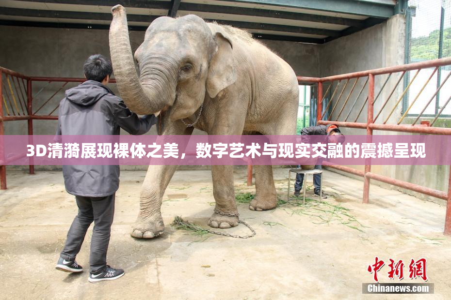 3D清漪展现裸体之美，数字艺术与现实交融的震撼呈现