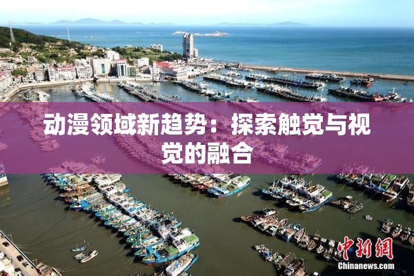 动漫领域新趋势：探索触觉与视觉的融合