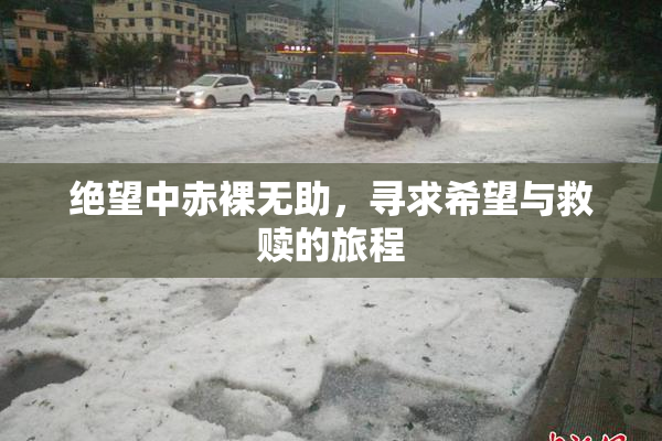 绝望中赤裸无助，寻求希望与救赎的旅程