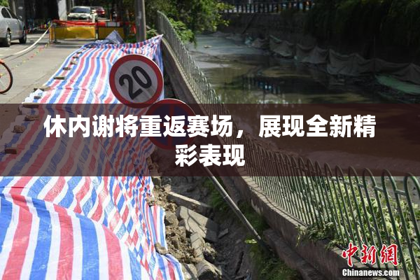 休内谢将重返赛场，展现全新精彩表现