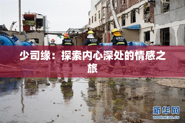 少司缘：探索内心深处的情感之旅