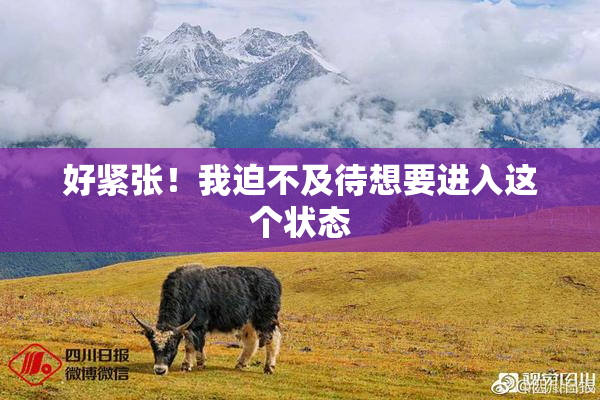 好紧张！我迫不及待想要进入这个状态