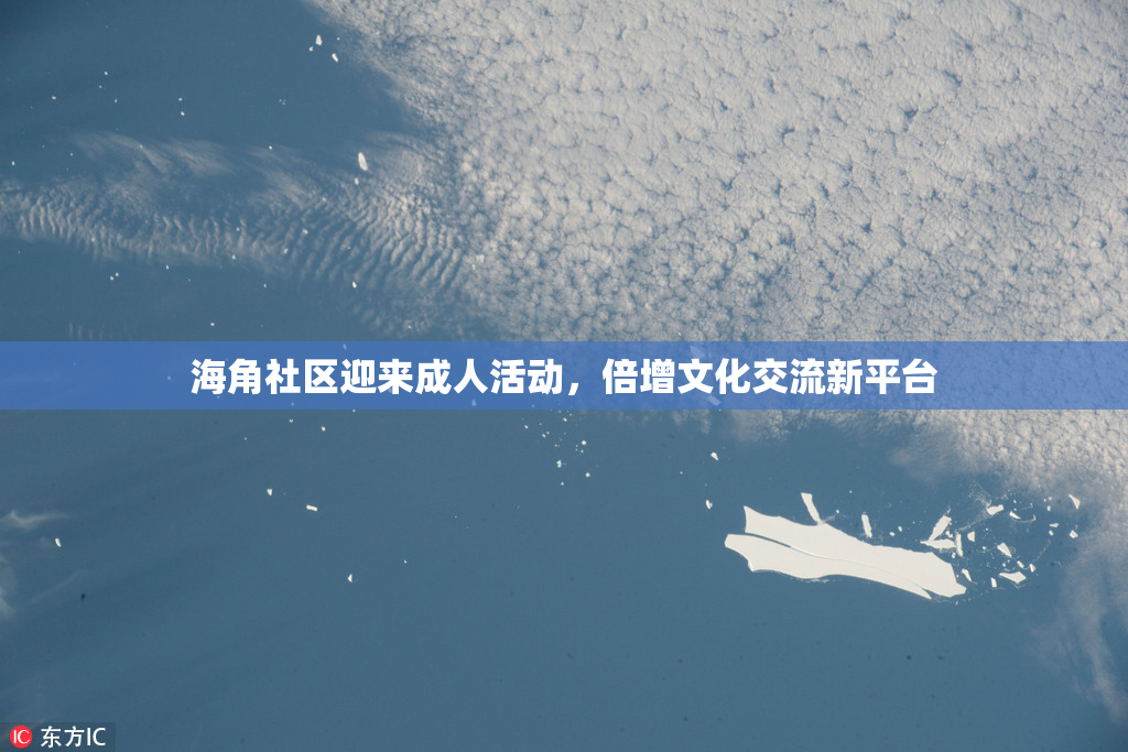 海角社区迎来成人活动，倍增文化交流新平台