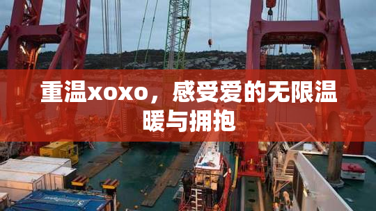 重温xoxo，感受爱的无限温暖与拥抱