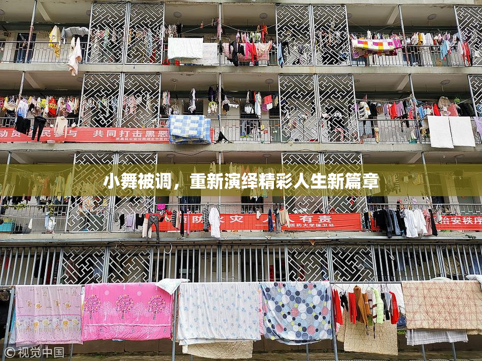 小舞被调，重新演绎精彩人生新篇章